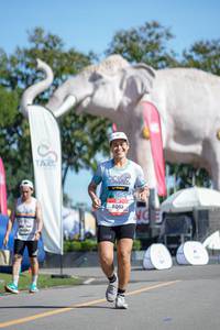 BIB: 
                            <button type="button" onclick="openModal(26544447)" class="btn btn-primary btn-sm float-right btn-popup" data-toggle="modal" data-target=".modal-high-quality">
                        <i class="fas fa-shopping-cart"></i> Add to Cart
                    </button>
                                            <button type="button" onclick="isThisMe(26544447, true)" class="btn btn-success btn-sm float-right btn-popup btn-isme hidden" data-toggle="tooltip" data-placement="bottom" title="นี่คือรูปของคุณใช่ไหม คลิกที่นี่เพื่อเอาเข้าอัลบั้ม">
                        <i class="fas fa-plus"></i> Add to album
                    </button>
                    <button type="button" onclick="isThisMe(26544447, false)" class="btn btn-warning btn-sm float-right btn-popup btn-isnotme hidden">
                        <i class="fas fa-ban"></i> Remove from album
                    </button>